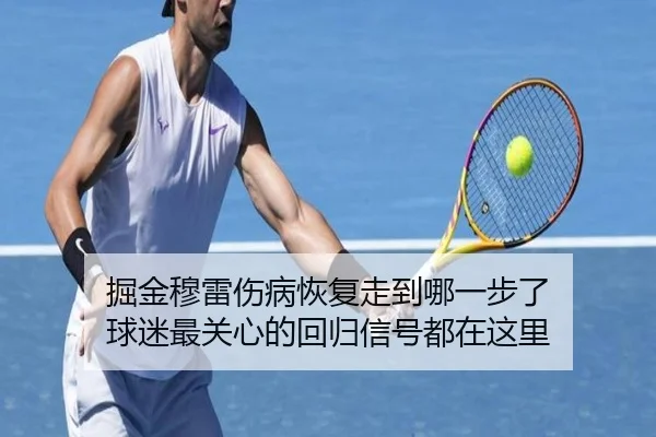掘金穆雷伤病恢复走到哪一步了 球迷最关心的回归信号都在这里